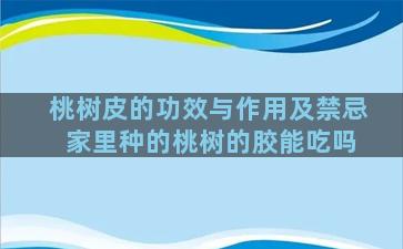 桃树皮的功效与作用及禁忌 家里种的桃树的胶能吃吗